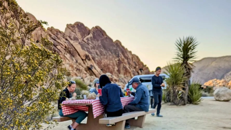 Joshua Tree meal