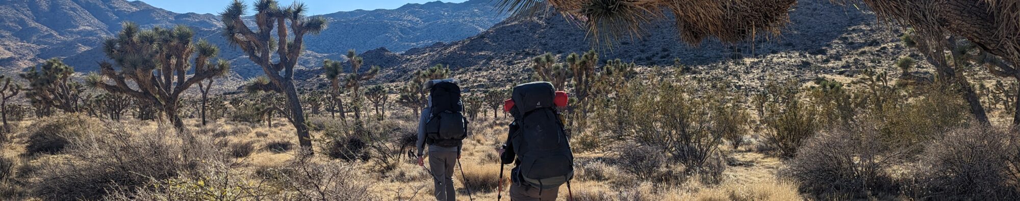 Two people backpack through Joshua Tree National Park in California