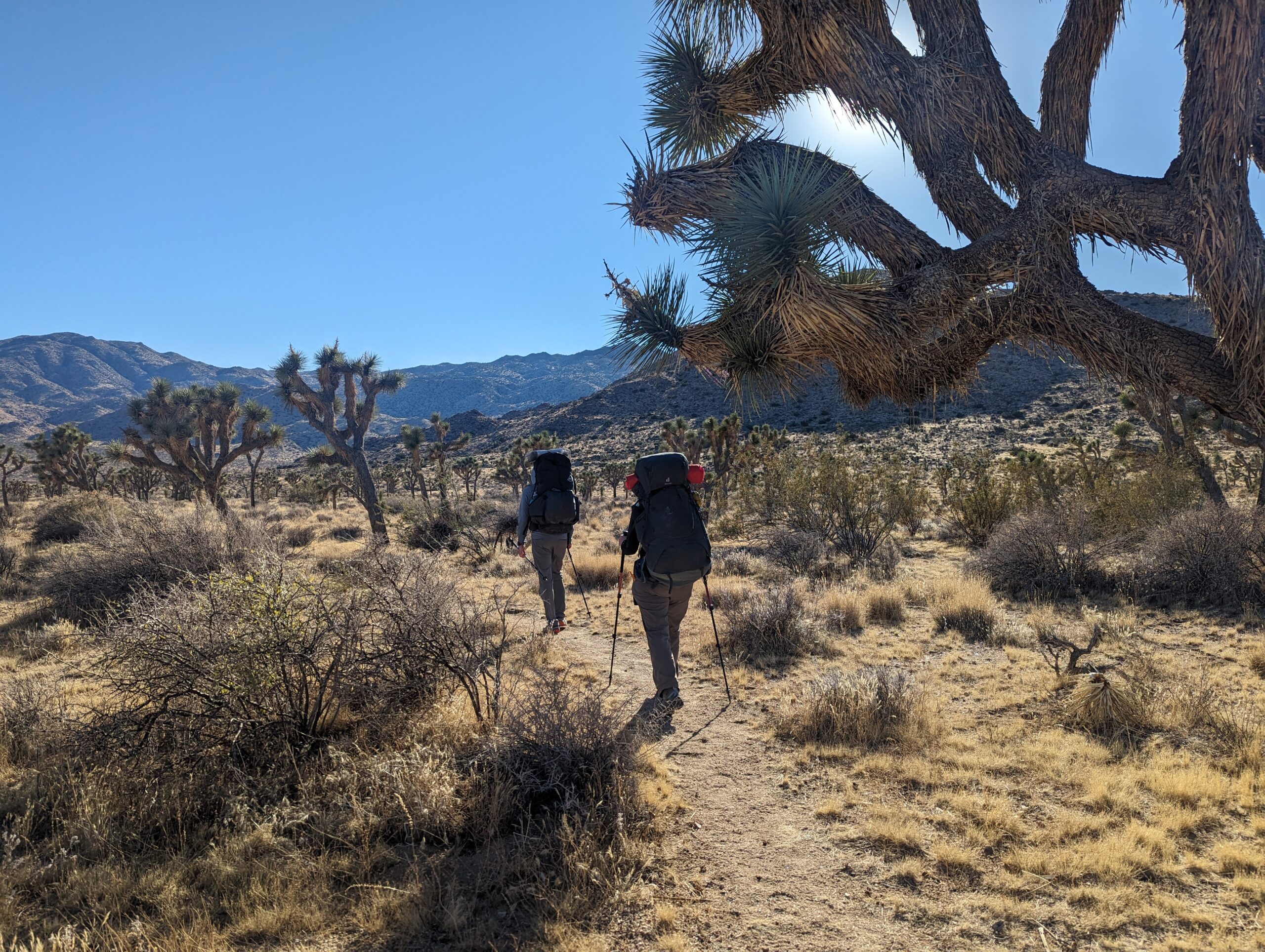 backpacking trip joshua tree