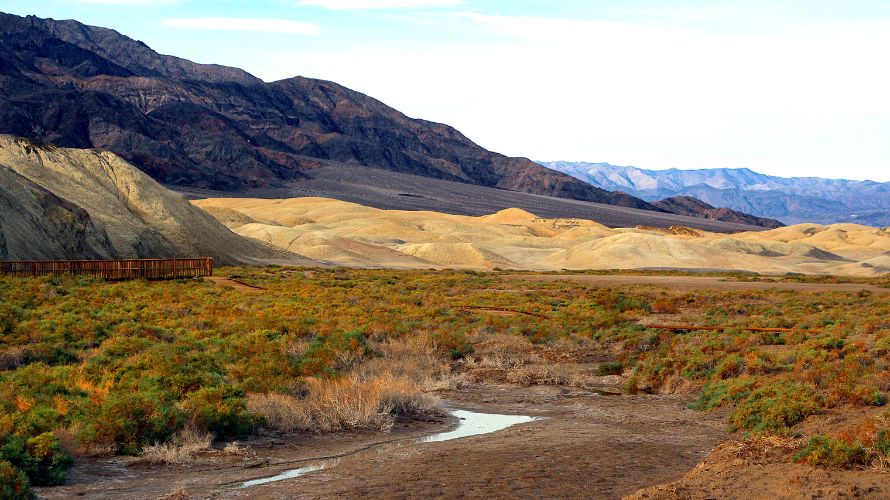 salt creek death valley