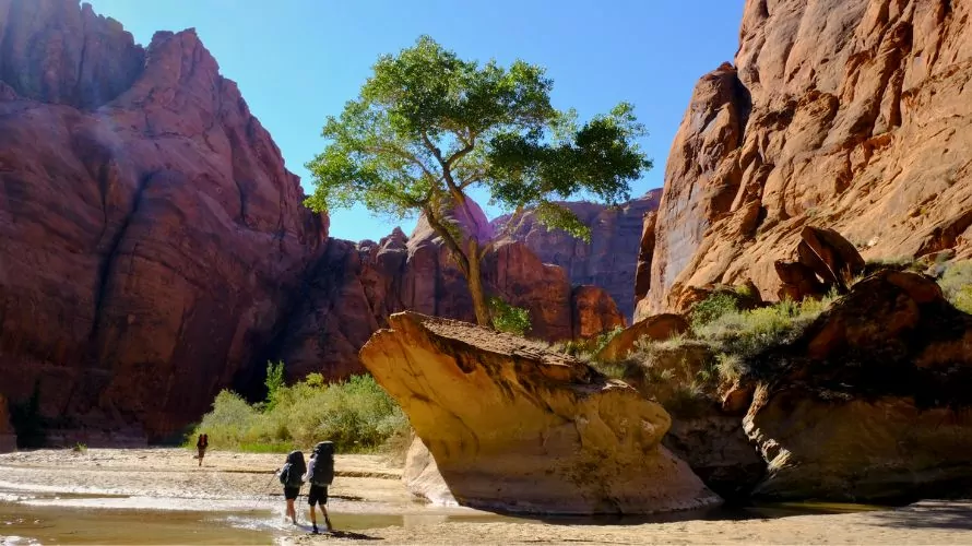Paria river canyon backpackers