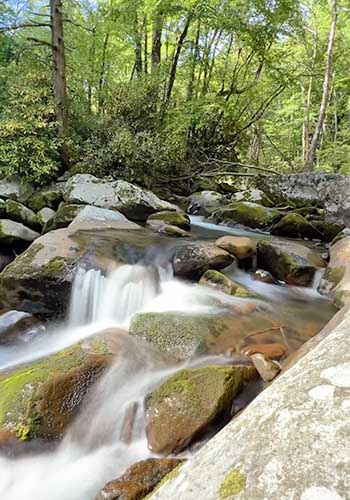 Majestic mountain river in Great Smoky Mountains National Park