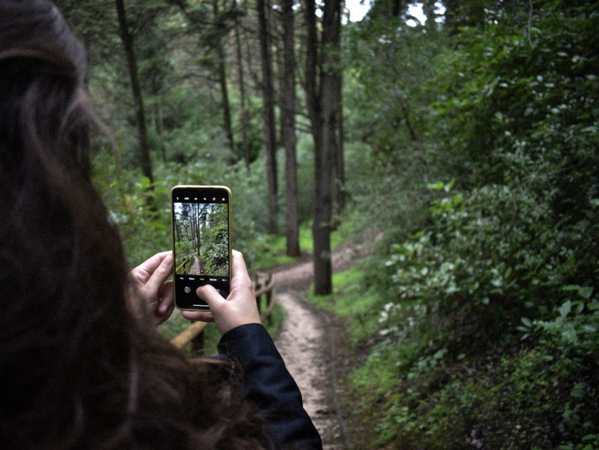 nature app