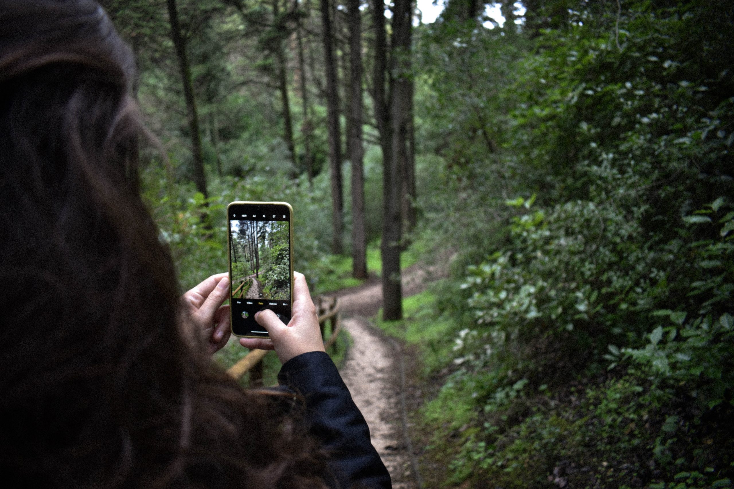 5 Naturalist Apps To Enhance Your Hike: Explore Smart!