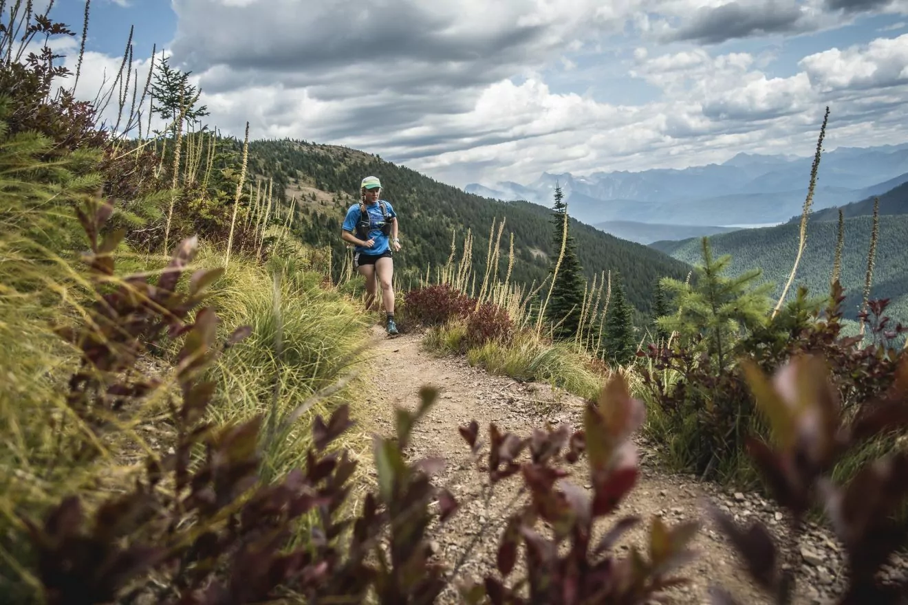 4 High Points of US National Parks - Wildland Trekking