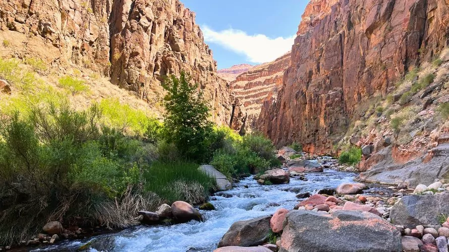 Deer creek waterfall with flowers