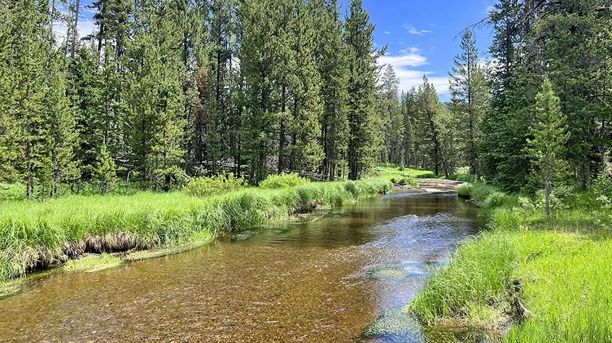 Pristine River in Yellowstone