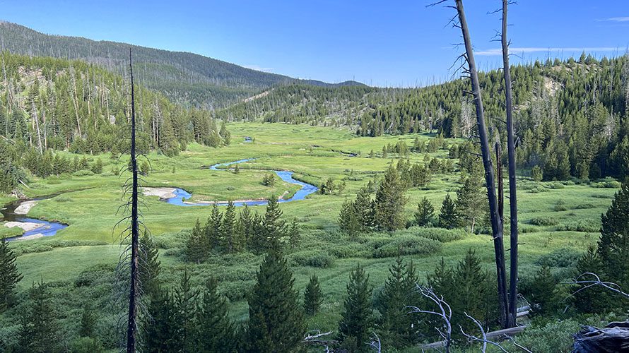 Broad Creek through a Meadow in Yellowstone