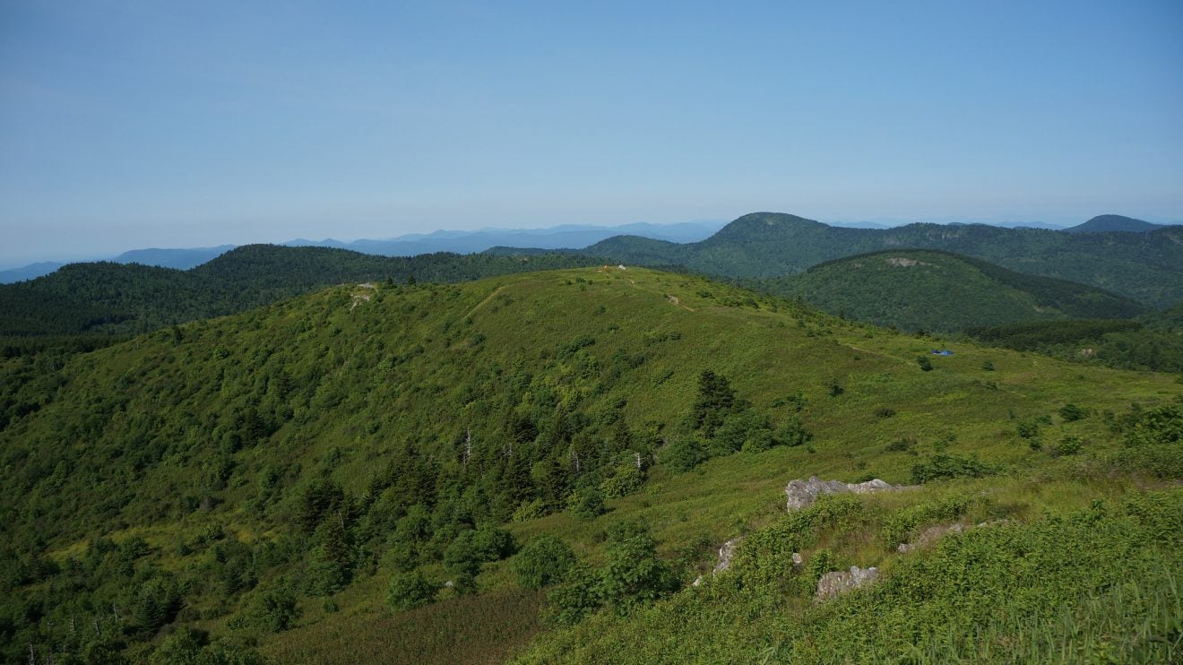 Two tents sit along the Art Loeb backpacking trail on the east coast.