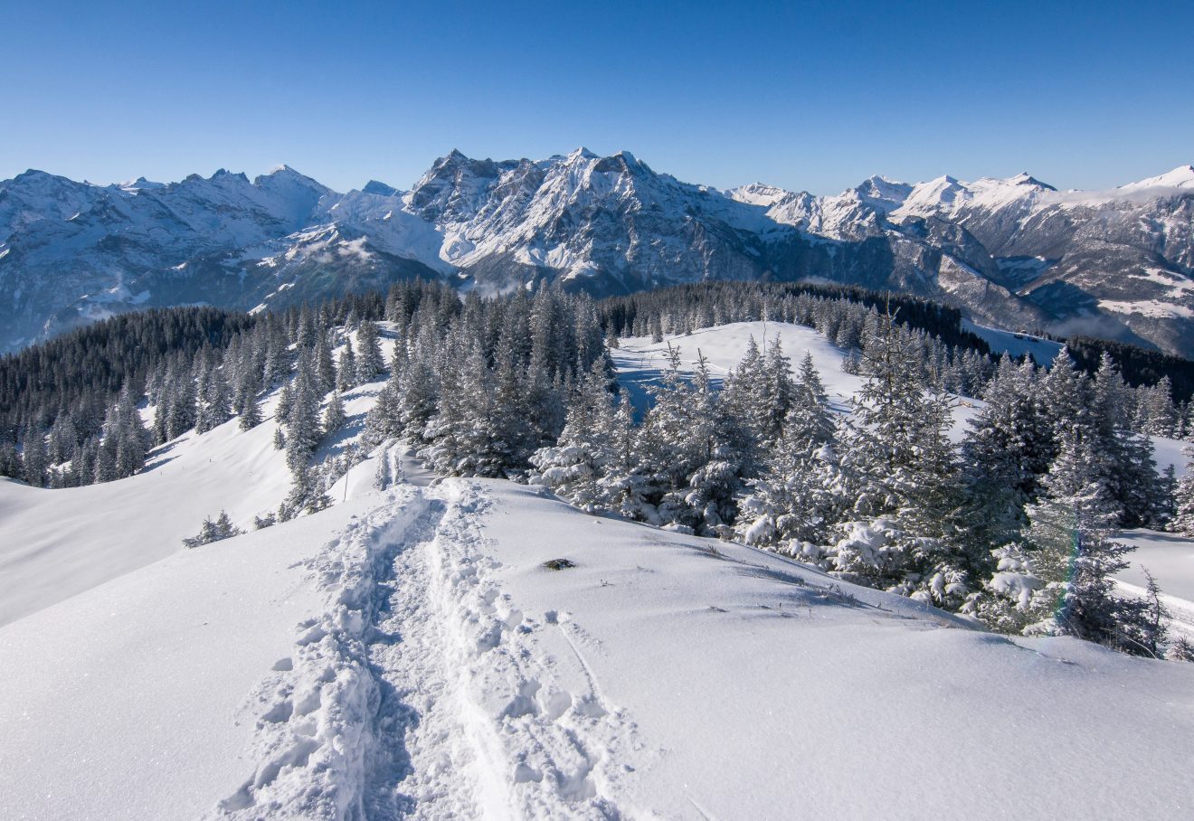 Breaking trail on a winter hike in the mountains