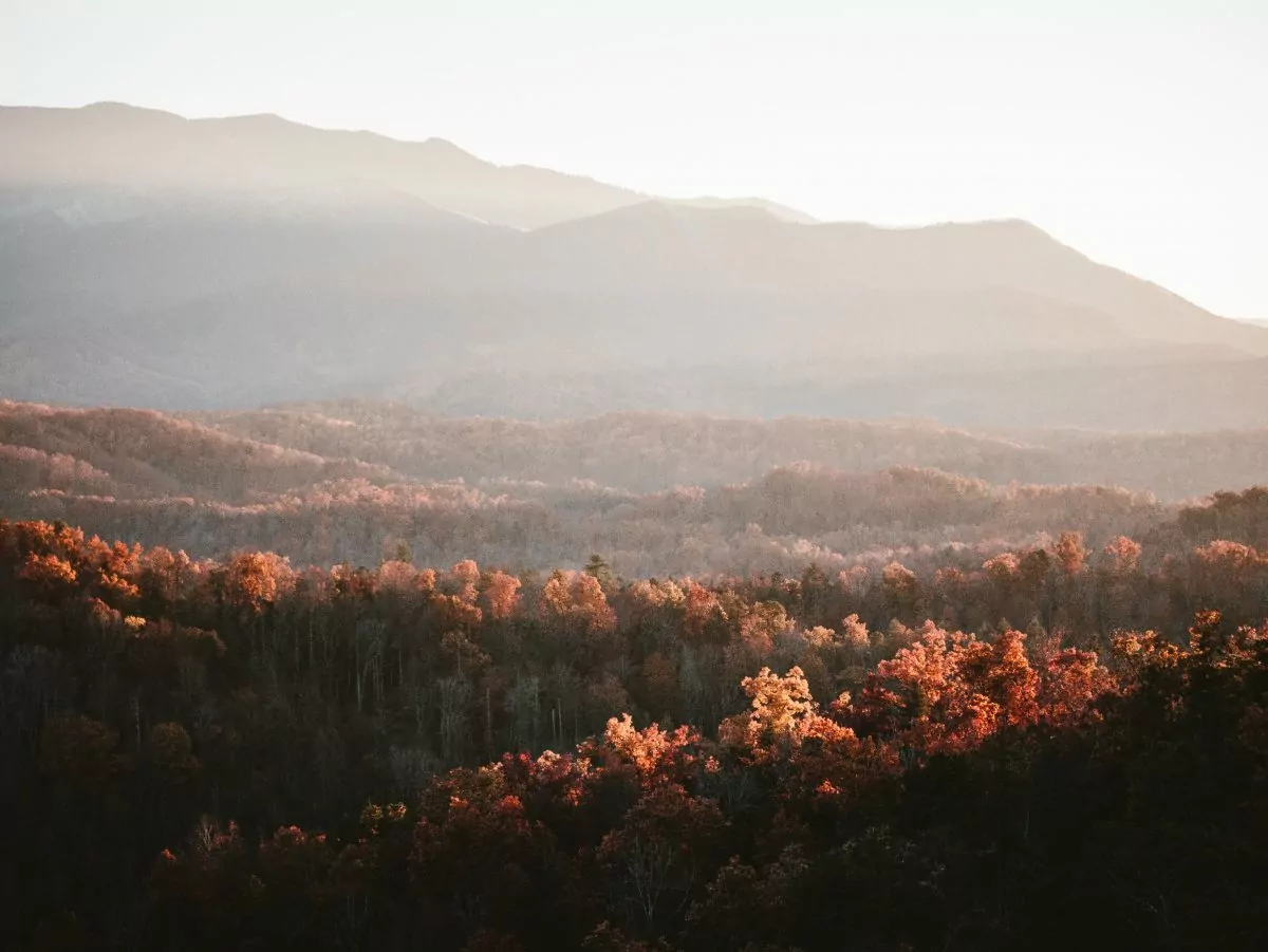 East coast shop backpacking trips