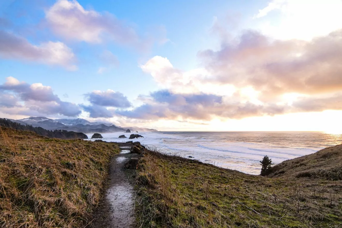 Grassy hills lead to the Pacific Ocean and Ecola Point, Oregon. 