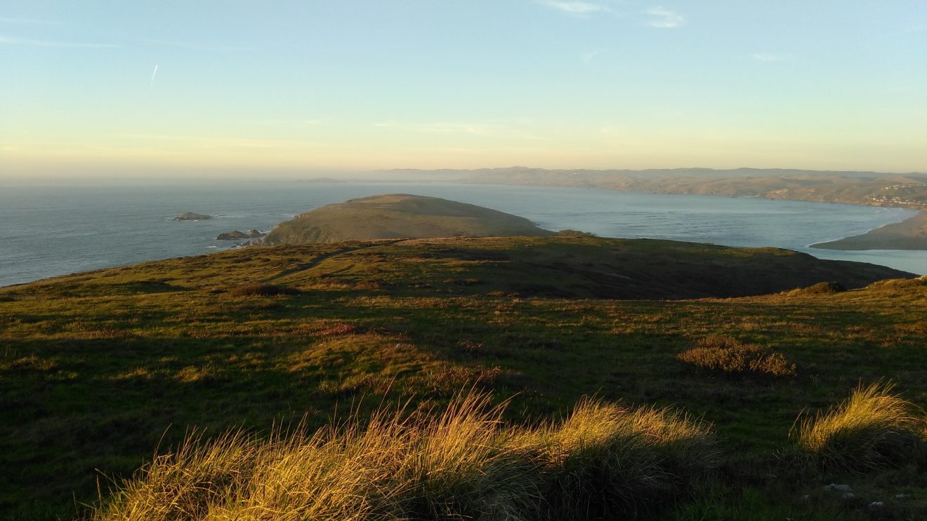 Tomales Point at sunset on the California Coast