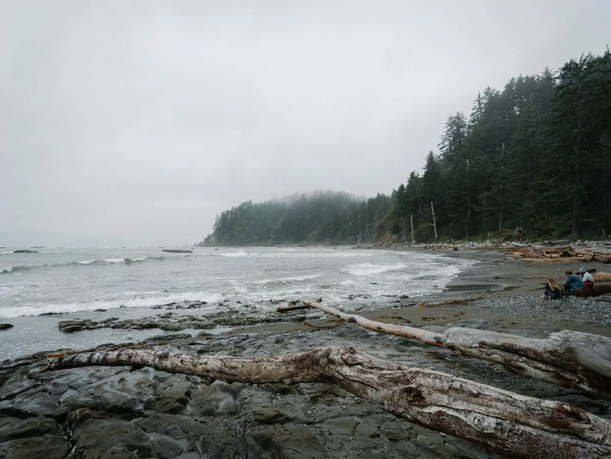 Hikers take a break on a log along the Washington Coast.