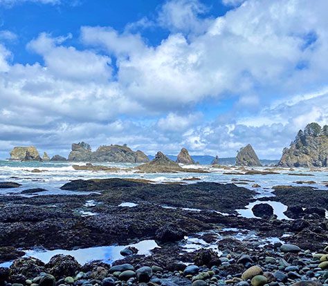 North Coast in Olympic National Park