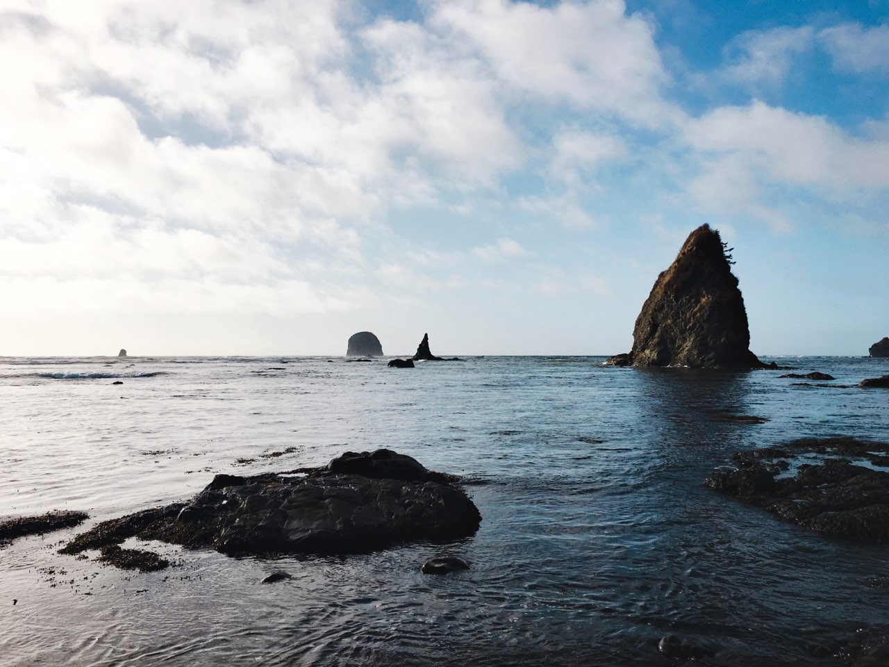 Ozette Triangle Loop on the Washington Coast hike