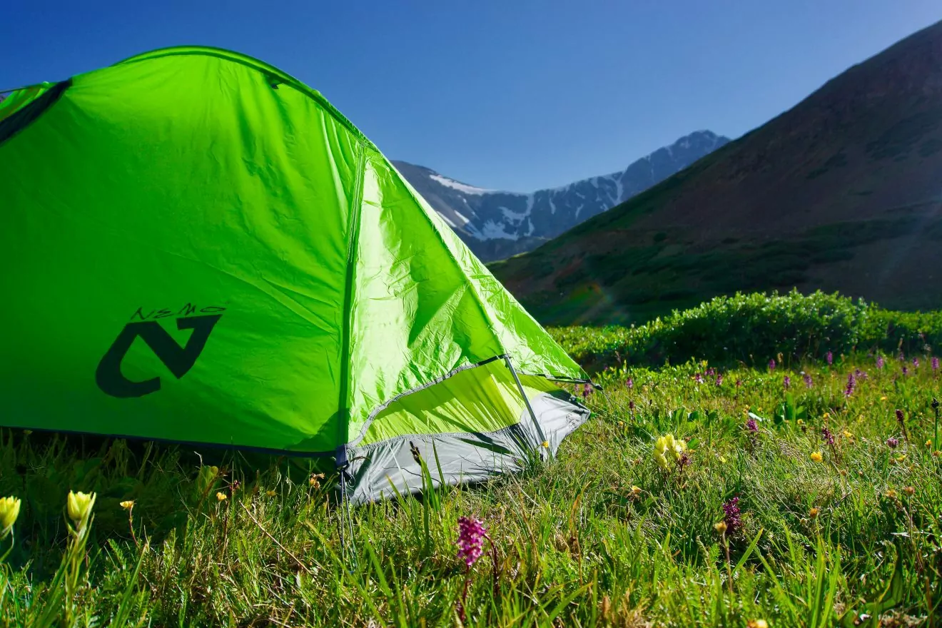 Green tent stands in the middle of meadow with wildflowers.