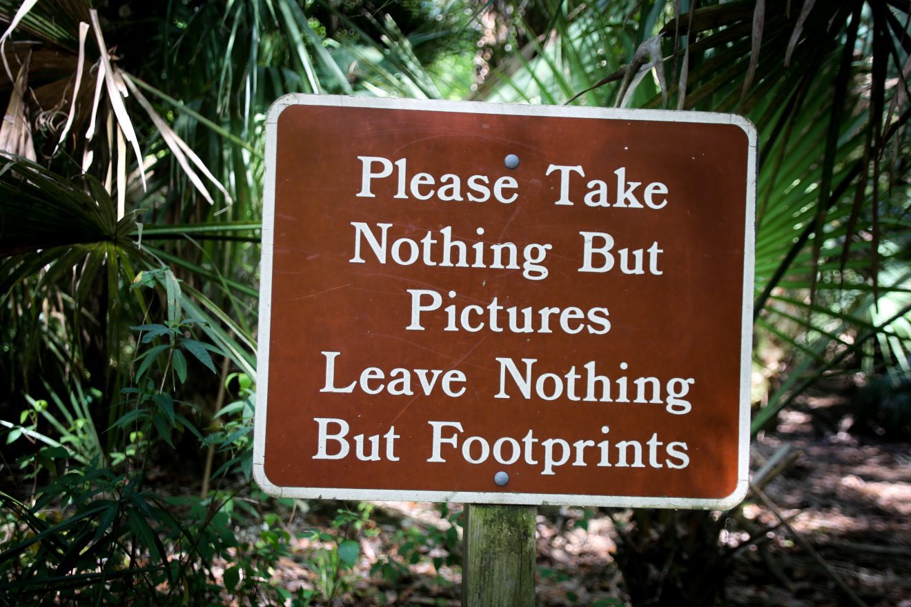 Brown "Please Take Nothing But Pictures Leave Nothing But Footprints" sign in front of jungle foliage. 