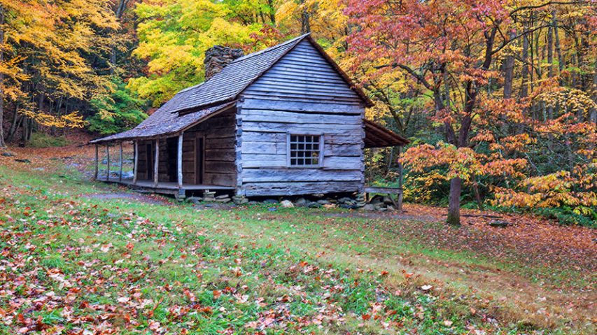 Appalachian Fall Colors Hiking Tour | Wildland Trekking