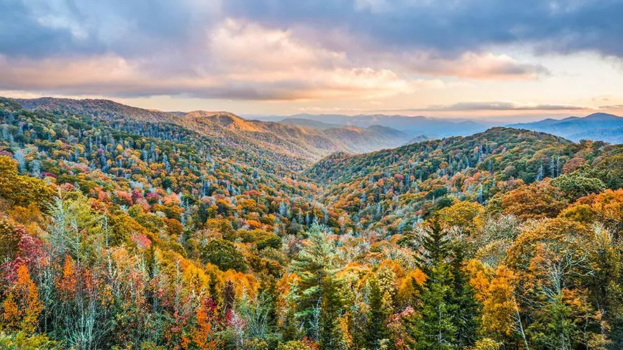 Fall Colors Backpacking Trip in the Smoky Mountains Wildland Trekking