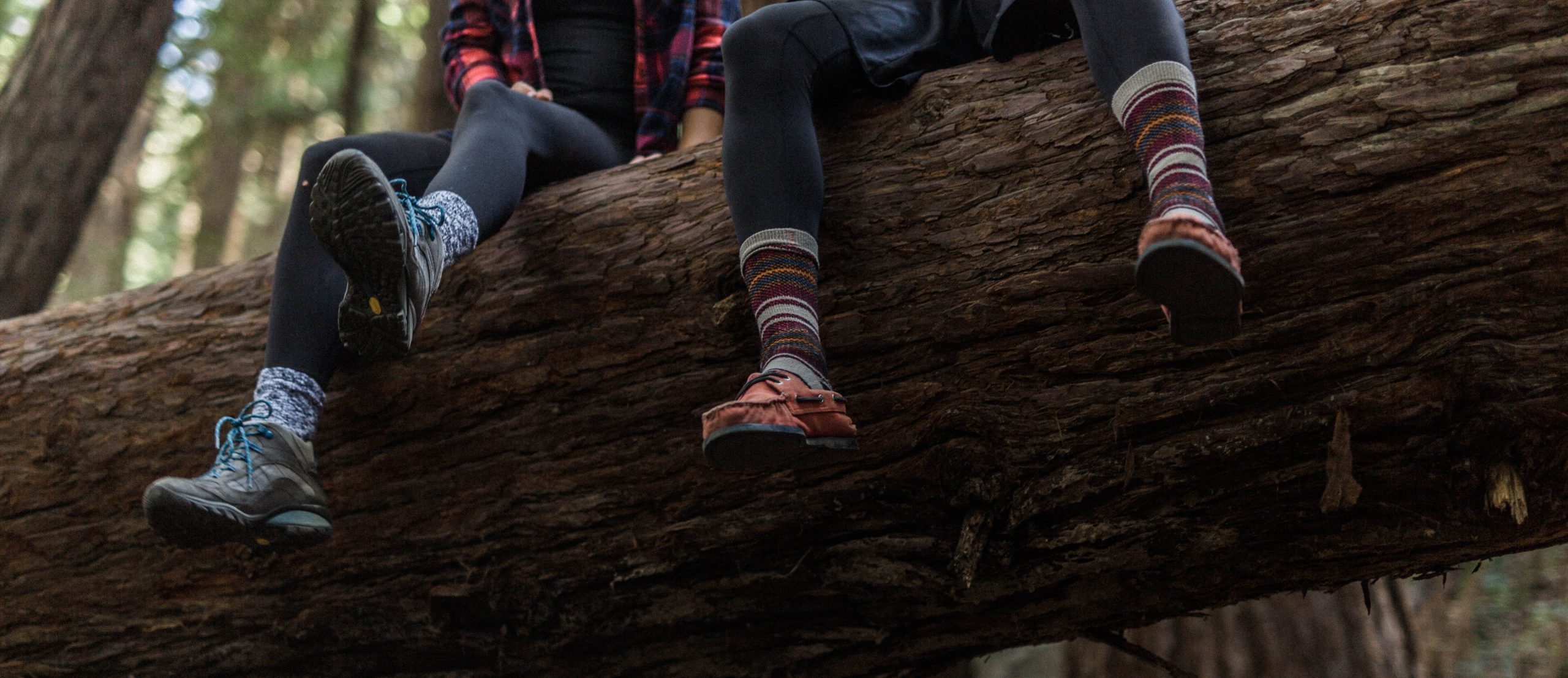 Best Women's Hiking Socks: A Buyer's Guide – Darn Tough