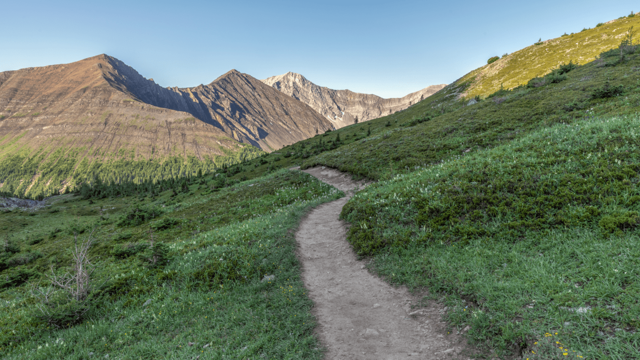 Rolling grassy trails in Peter Lougheed Provincial Park