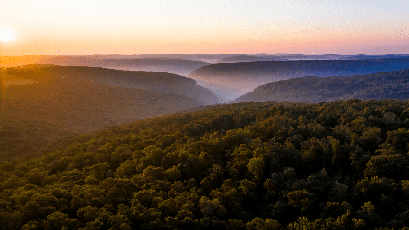 Misty morning views of fall in the Ozark National Forest