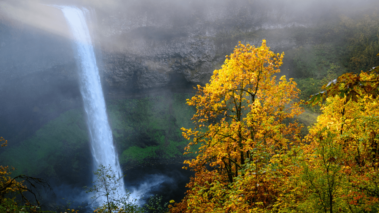 High waterfall in Oregon surrounded by yellow leafed trees