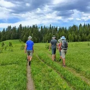 Yellowstone in June backpacking spring summer meadow group trek