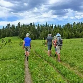 Hiking yellowstone shop in june