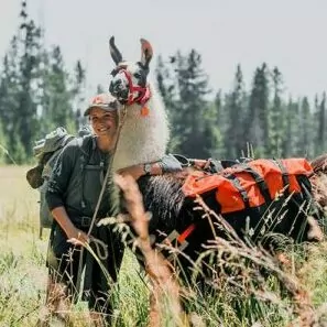 llama treks Yellowstone July woman with llama friend animals pack stock