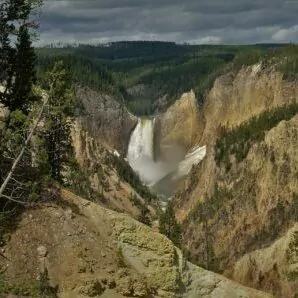Grand Canyon of Yellowstone water for Yellowstone in July trees alpine mountains gorge 