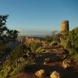 Grand Canyon in December desert view watchtower sunset tree gorge