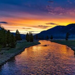 Yellowstone what to expect river sunset mountain trees