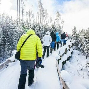 Yellowstone in January hike snowshoe group trek trip