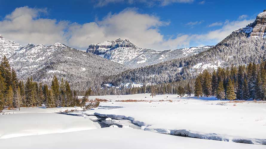 Yellowstone Day Hiking Tours, Day Hikes | Wildland Trekking