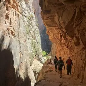 Zion in February day trips guided tours hike canyon 