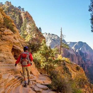 Zion in February hiking cliff trail backpacking