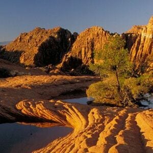 Zion in April canyon pools tree desert 