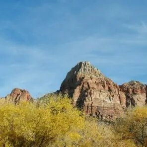 October in Zion fall leaves cliffs yellow trees sky