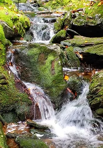 Best of Stowe & Vermont Hiking Tour - Wildland Trekking