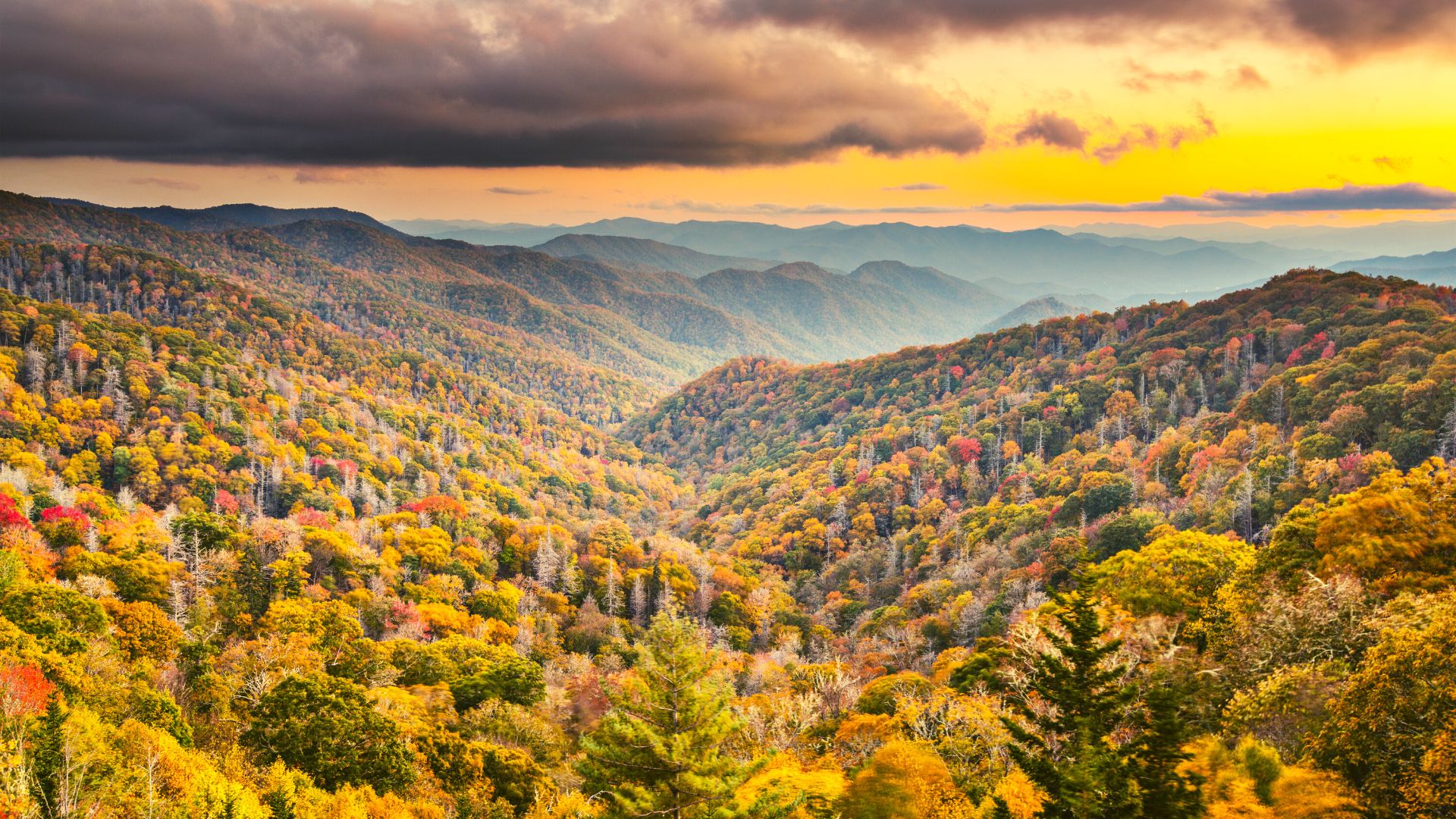 Smokies fall foliage leaf peeping