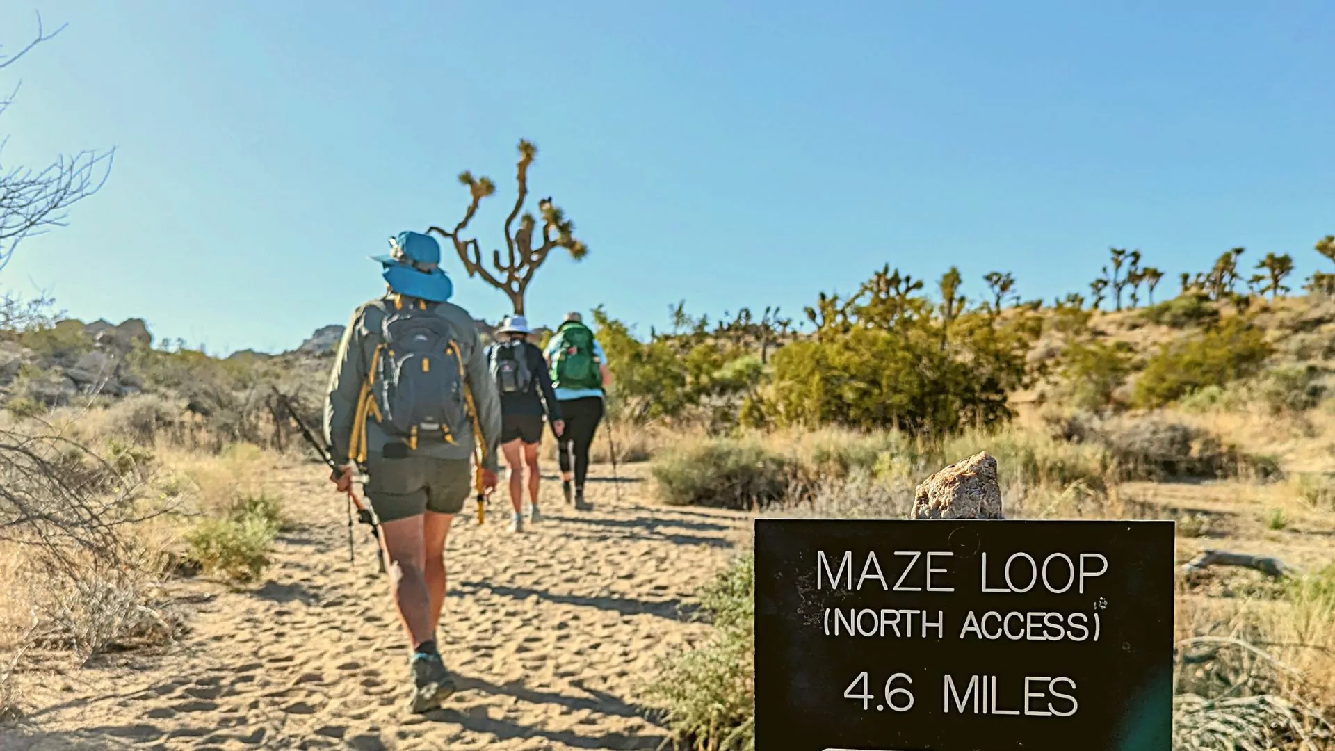 Maze Loop Hike Joshua Tree National Park