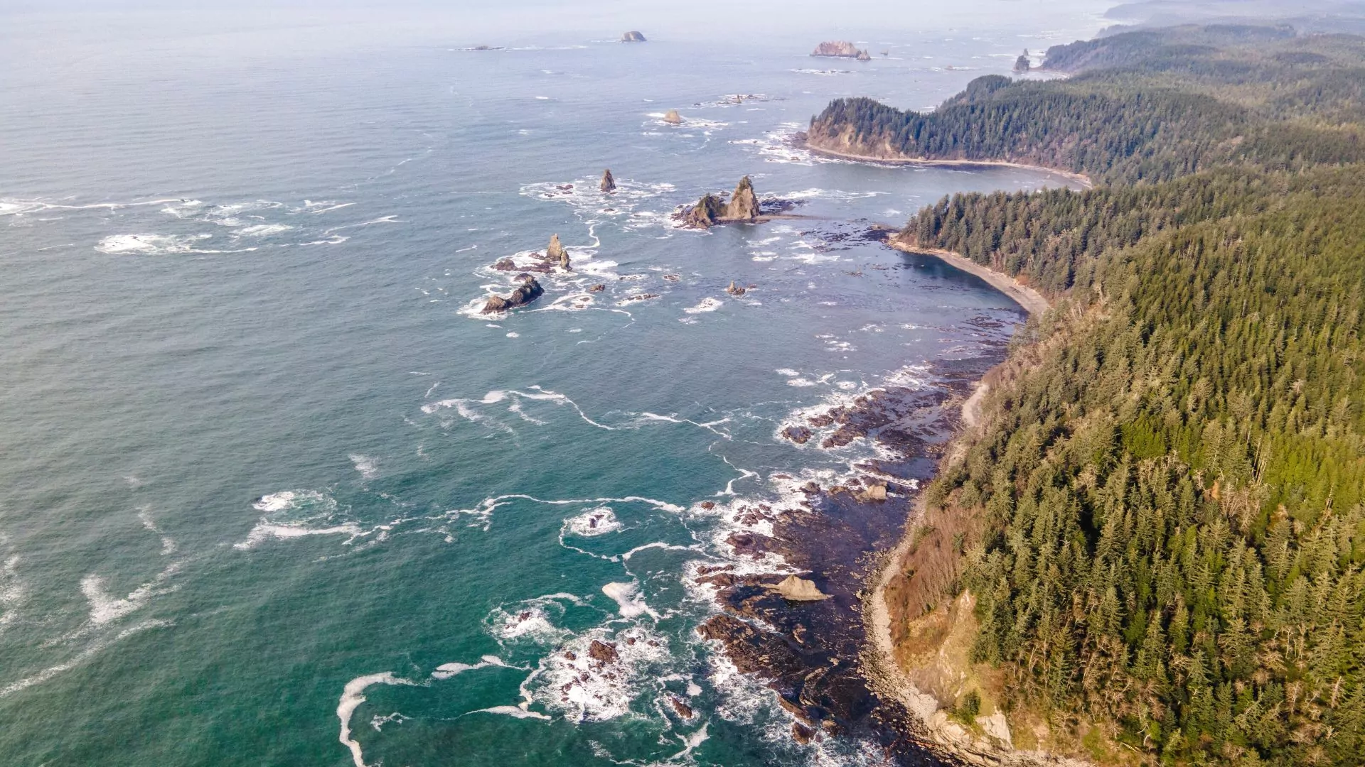 Aerial view of the Olympic Peninsula coast