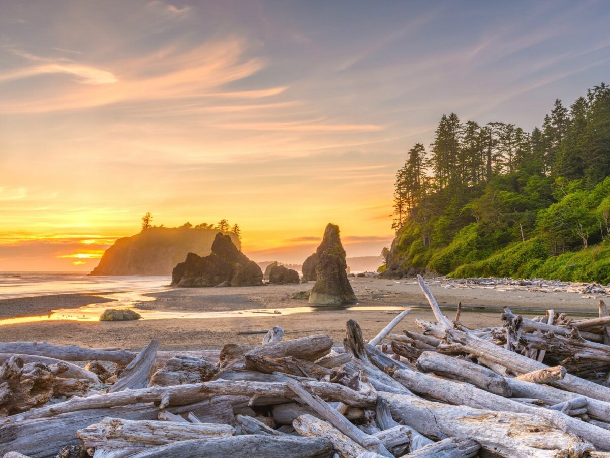 Beach Camping Washington Coast: The Expert's Ultimate Guide