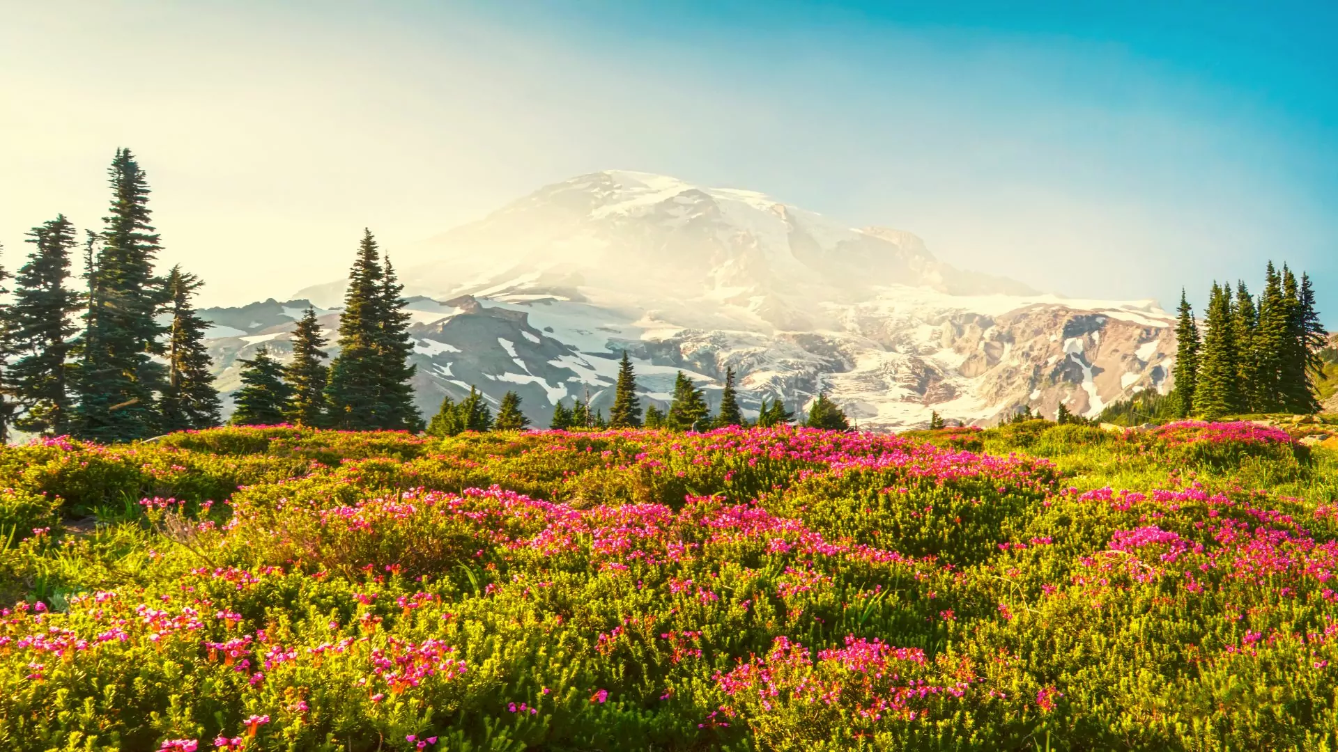 Mount Rainier, Mount Rainier National Park, Washington