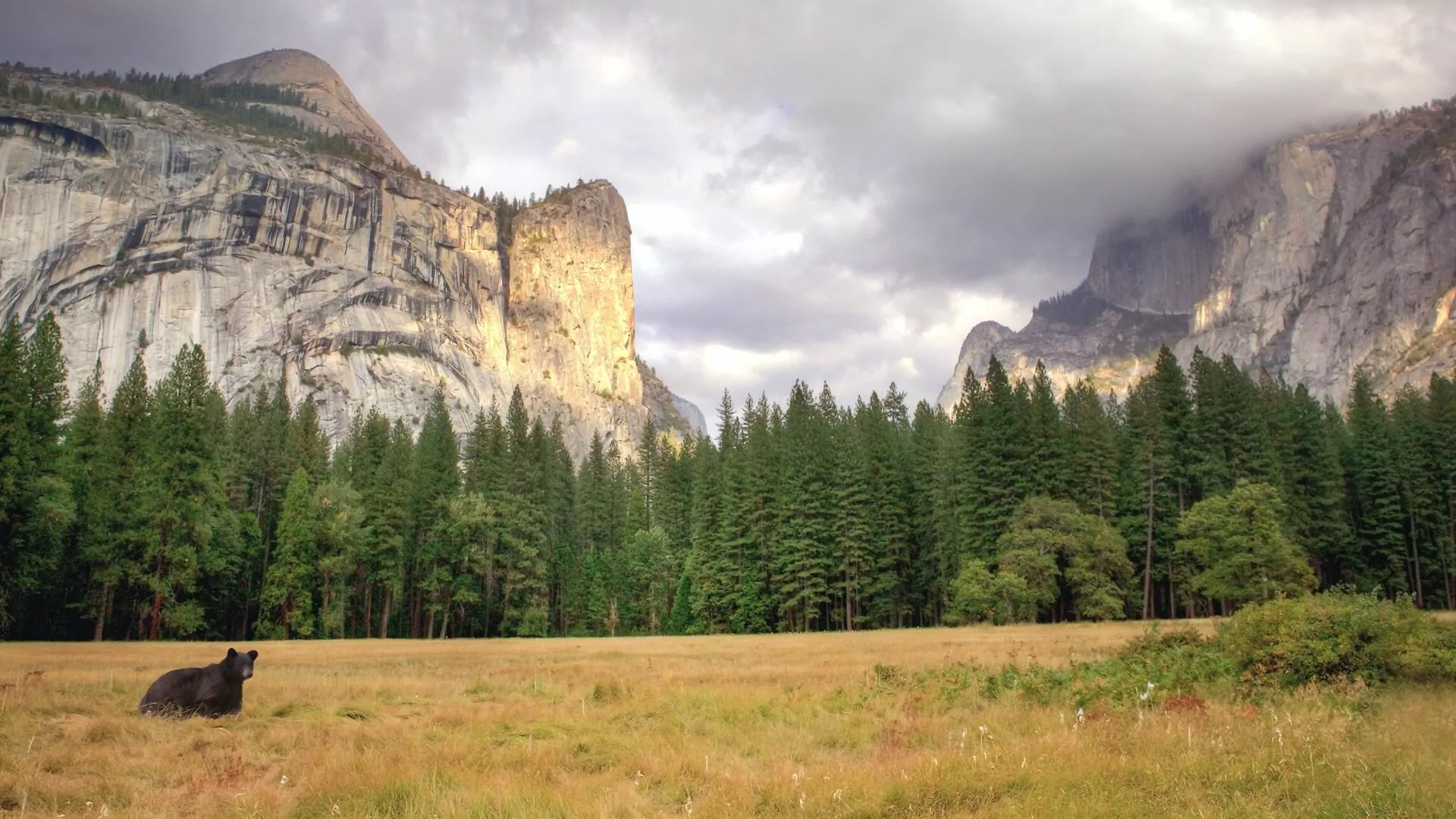 overnight backpacking trip yosemite