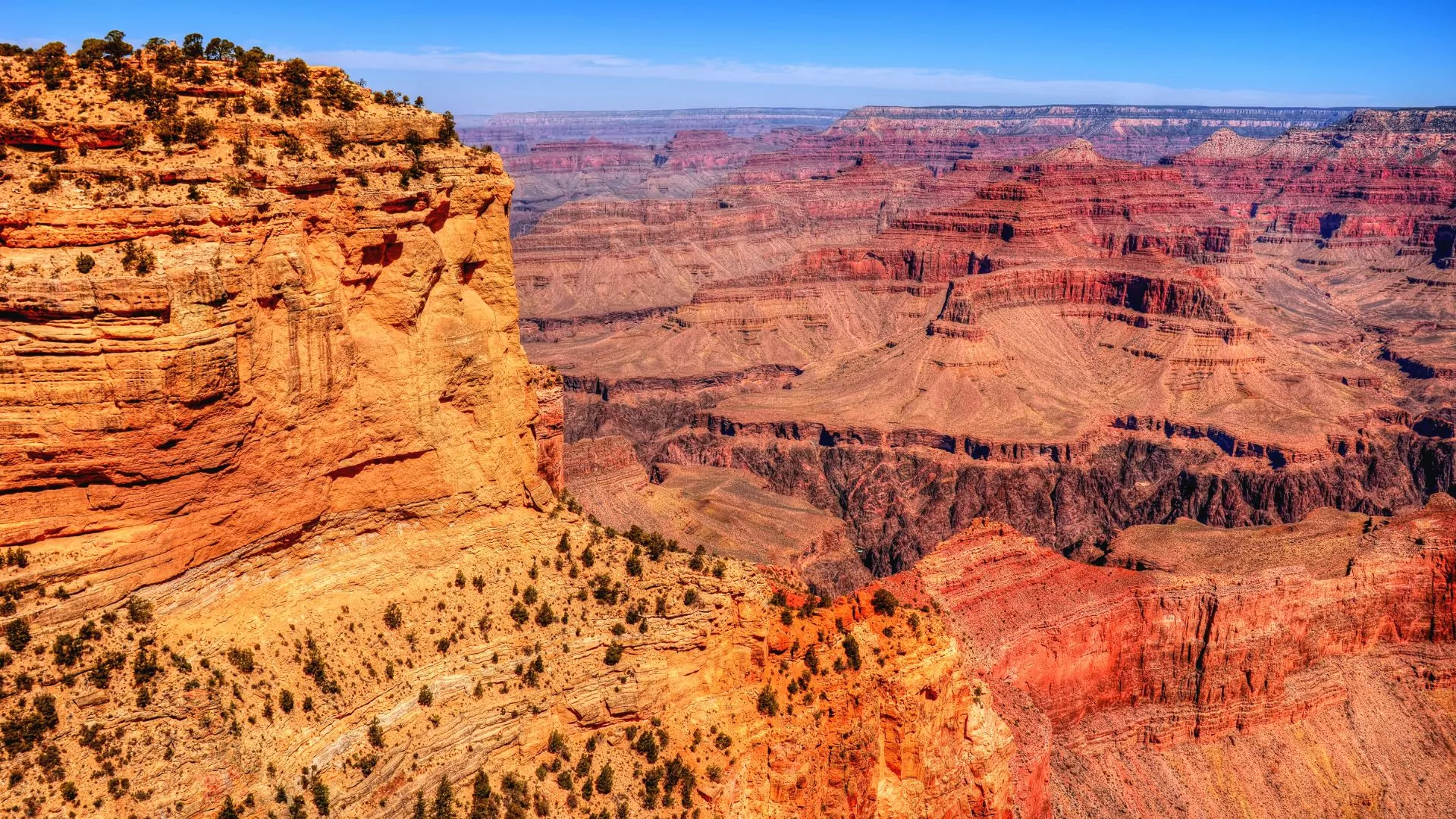 The red rock of the Grand Canyon stretches as far as the eye can see