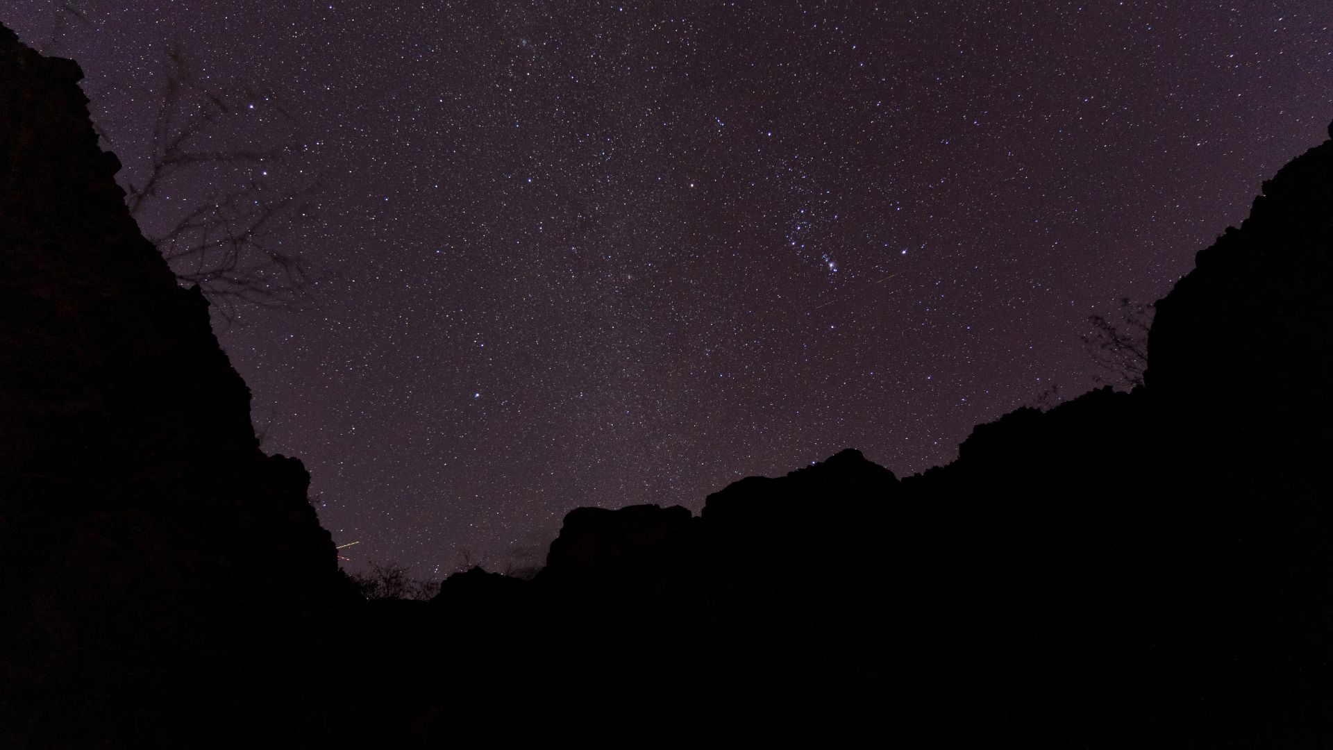 a stary night sky stretches above the canyon rim