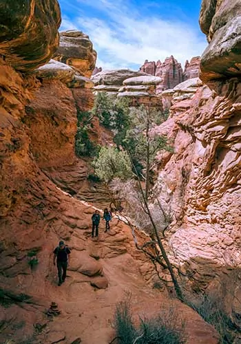 Druid Arch Day Hiking Tour In Canyonlands National Park